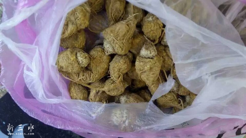 ���˵ļ���վ�������꿧