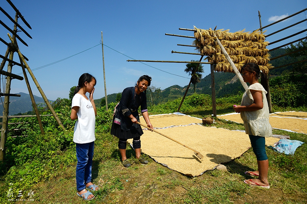 0010.jpg