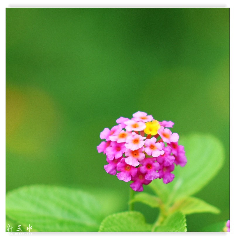 A4 559_鍓?湰.jpg