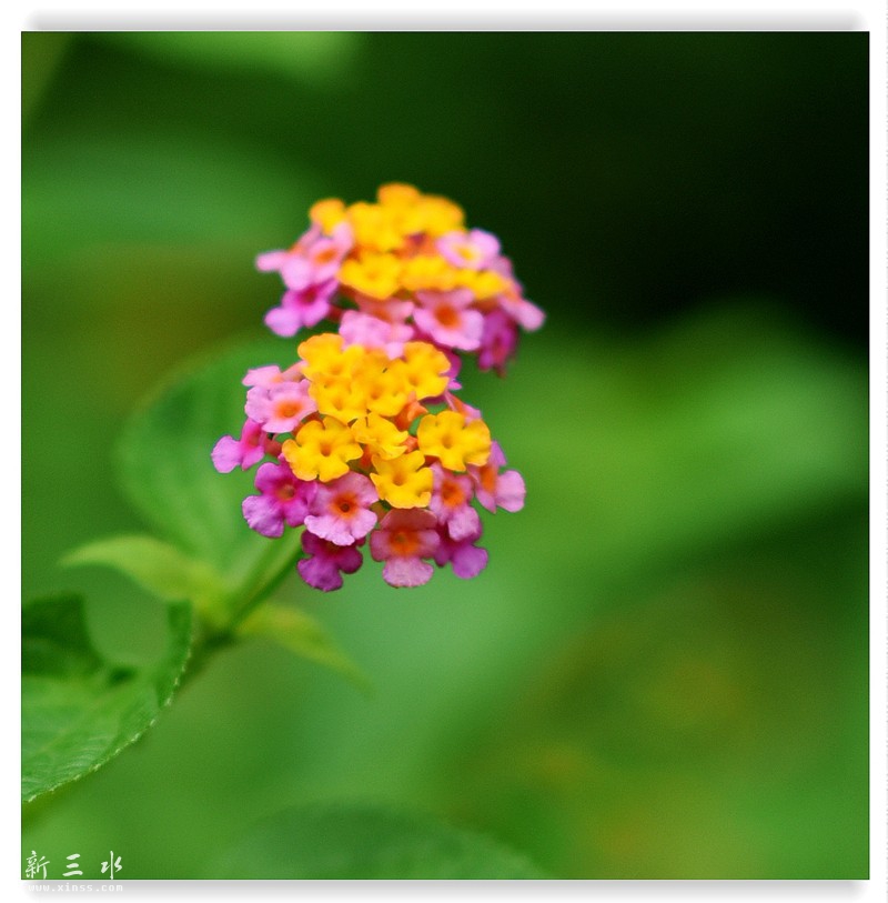 A4 560_鍓?湰.jpg