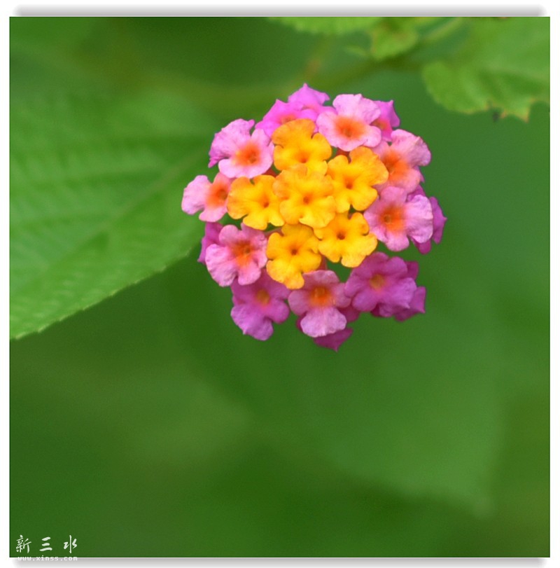 A4 564_鍓?湰.jpg