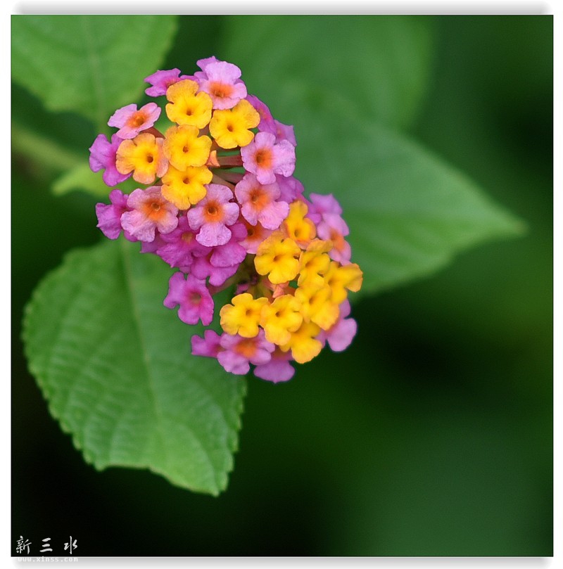 A4 566_鍓?湰.jpg