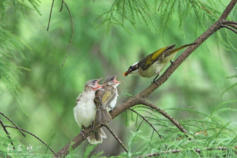 IMG_5142鍓?湰.jpg