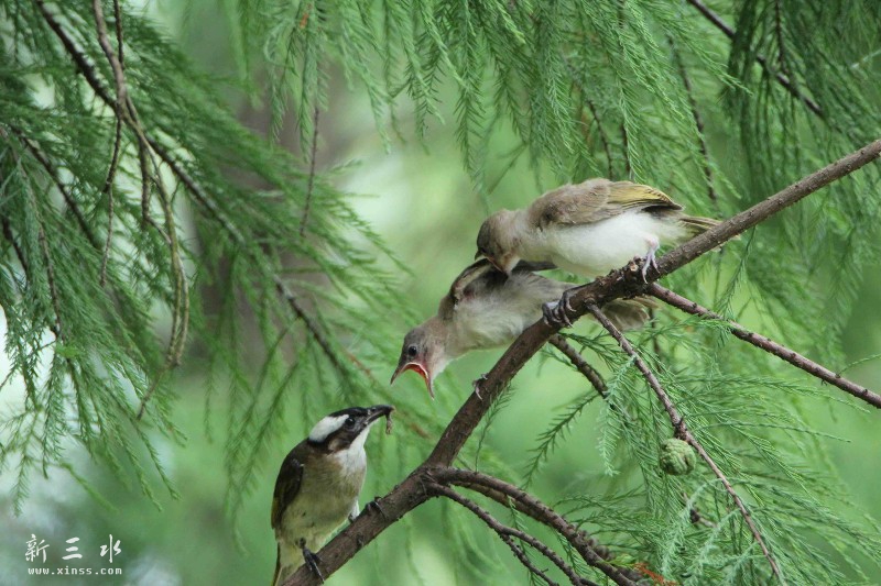 IMG_5185鍓?湰.jpg