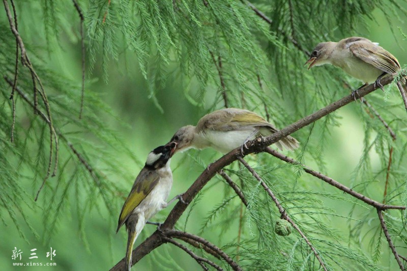 IMG_5209鍓?湰.jpg