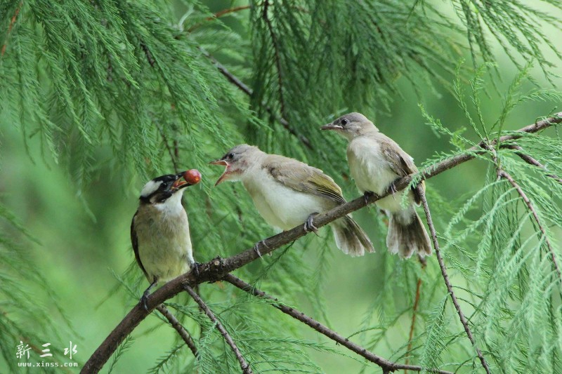 IMG_5278鍓?湰.jpg