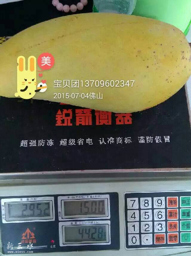 200826bttkoo2kgsao4dod.jpg