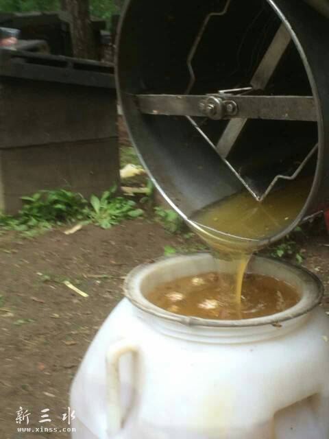 005344oa60y00ibynz016m.jpg