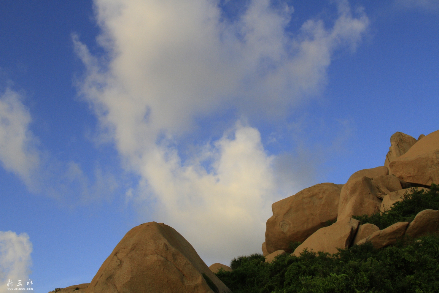 _MG_9098.JPG