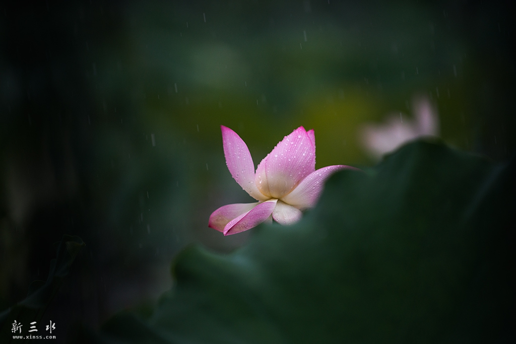 DSC_6790副本.jpg