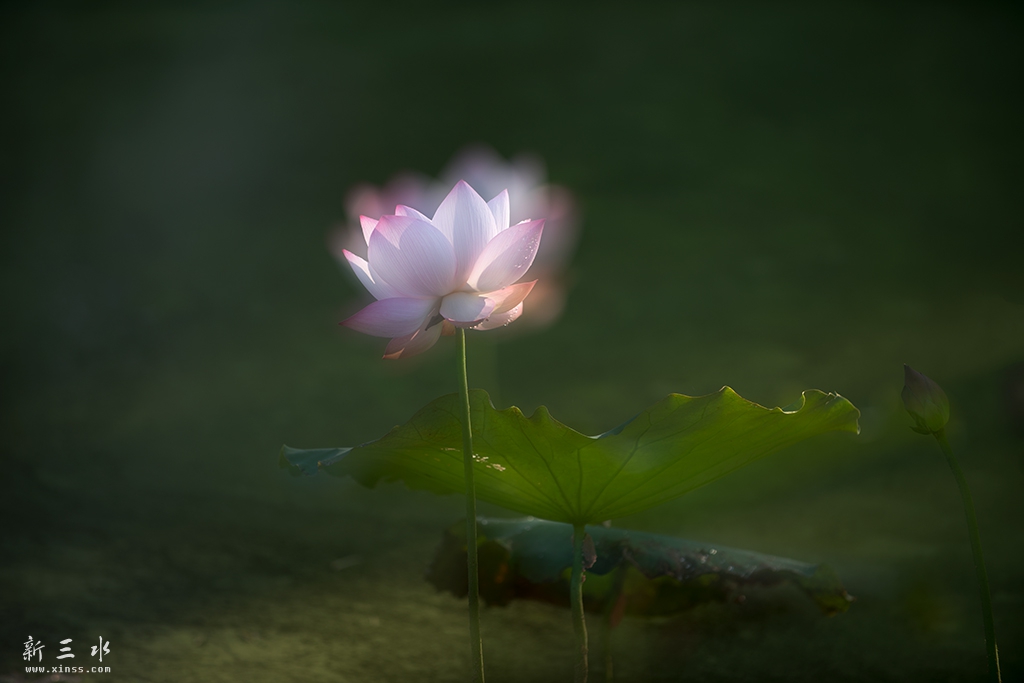 DSC_8490副本.jpg