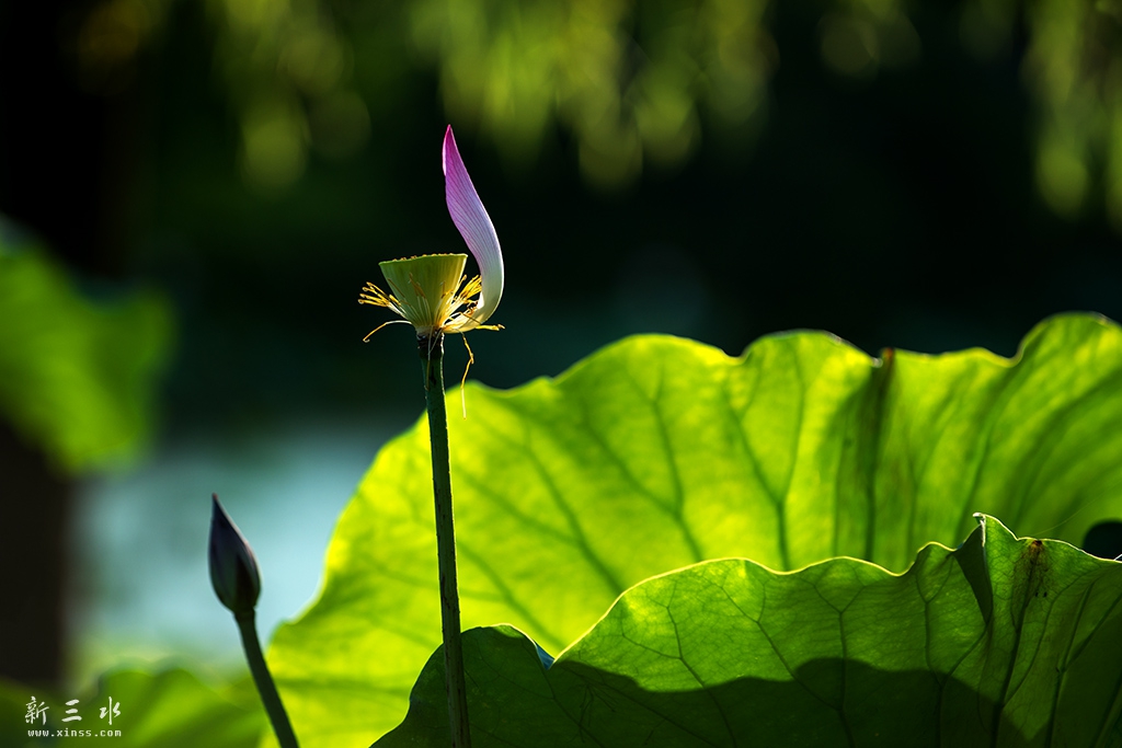 DSC_8504副本.jpg