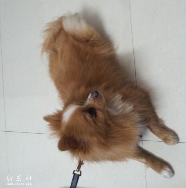 QQ图片20150720001428.jpg