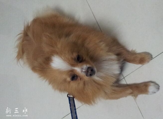 QQ图片20150720001503.jpg