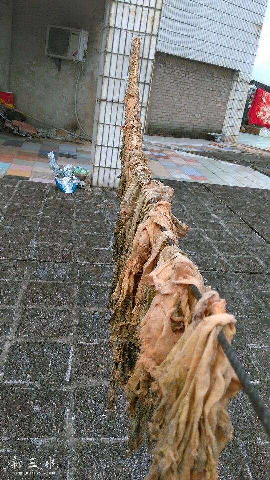 自家梅菜.jpg