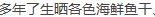 捕获.JPG