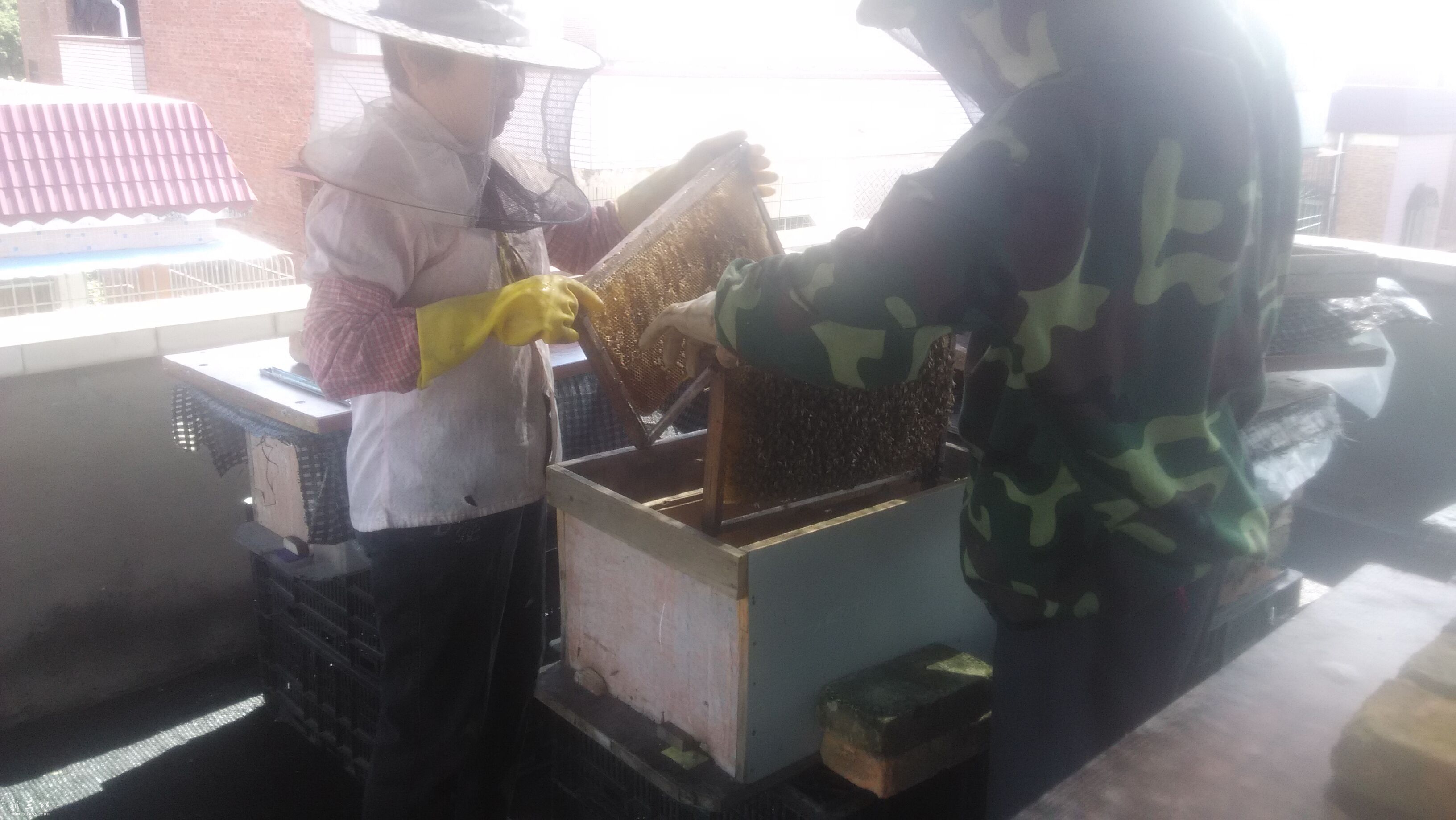 QQ图片20150804112023.jpg