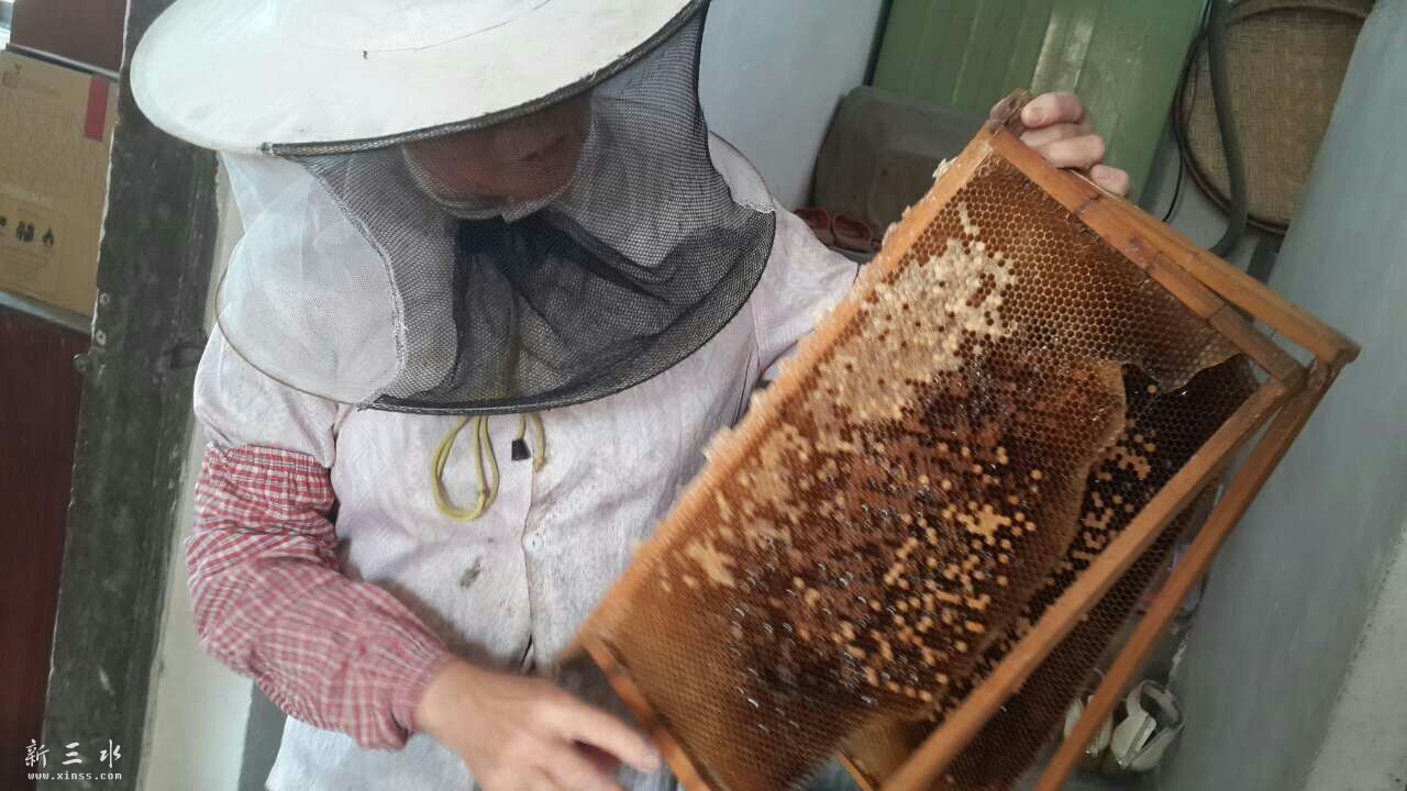 QQ图片20150804112006.jpg