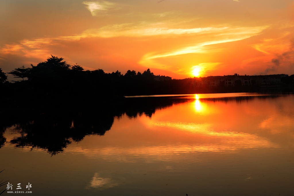 DSC_2317A.jpg