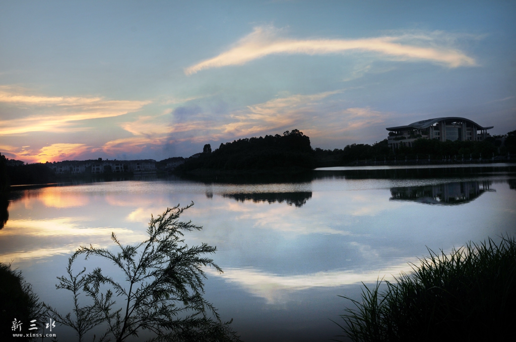 DSC_2399.jpg