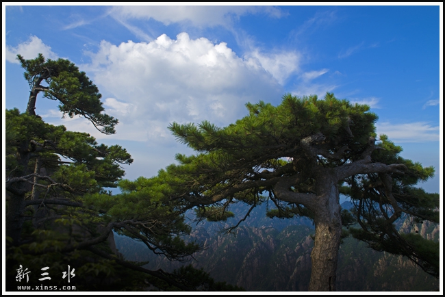 榛勫北姣嶅瓙鏉