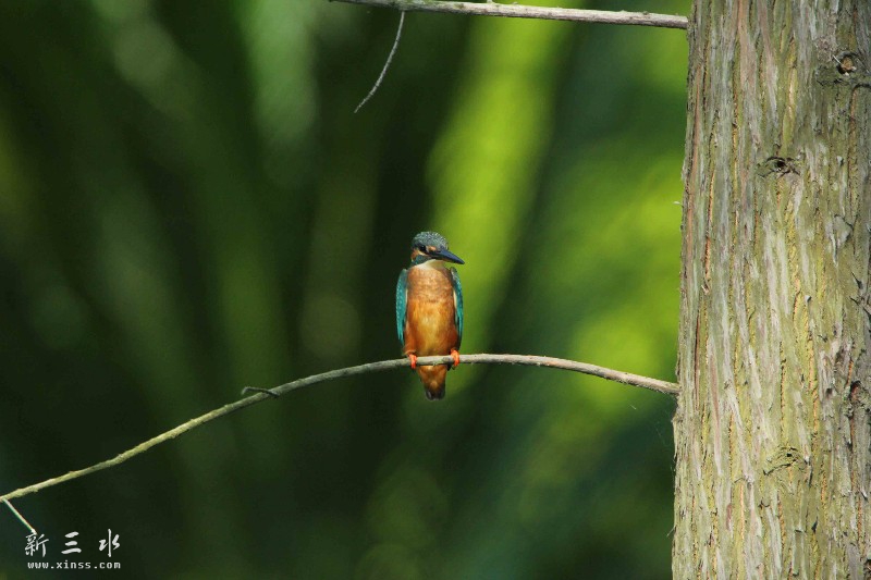 IMG_6132鍓?湰.jpg