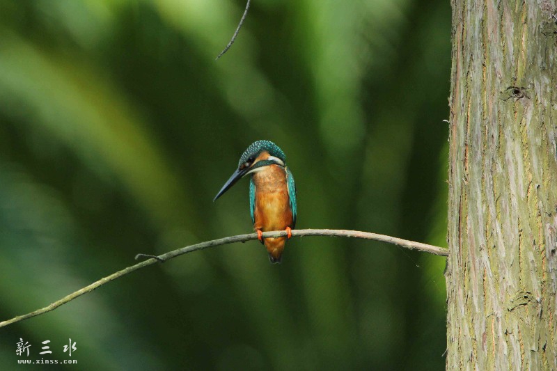 IMG_6135鍓?湰.jpg