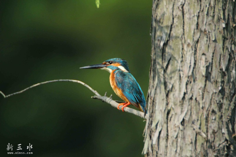 IMG_6156鍓?湰.jpg