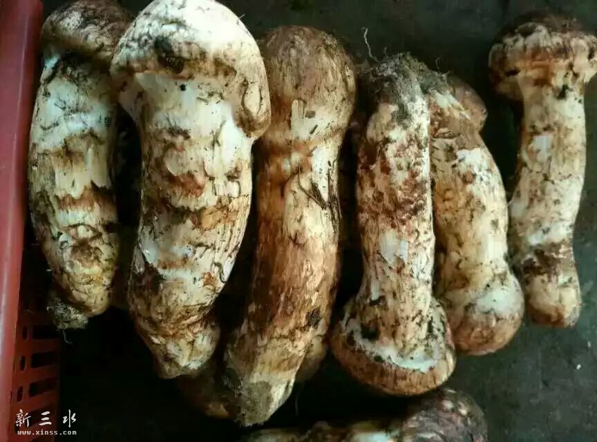 7-9CM