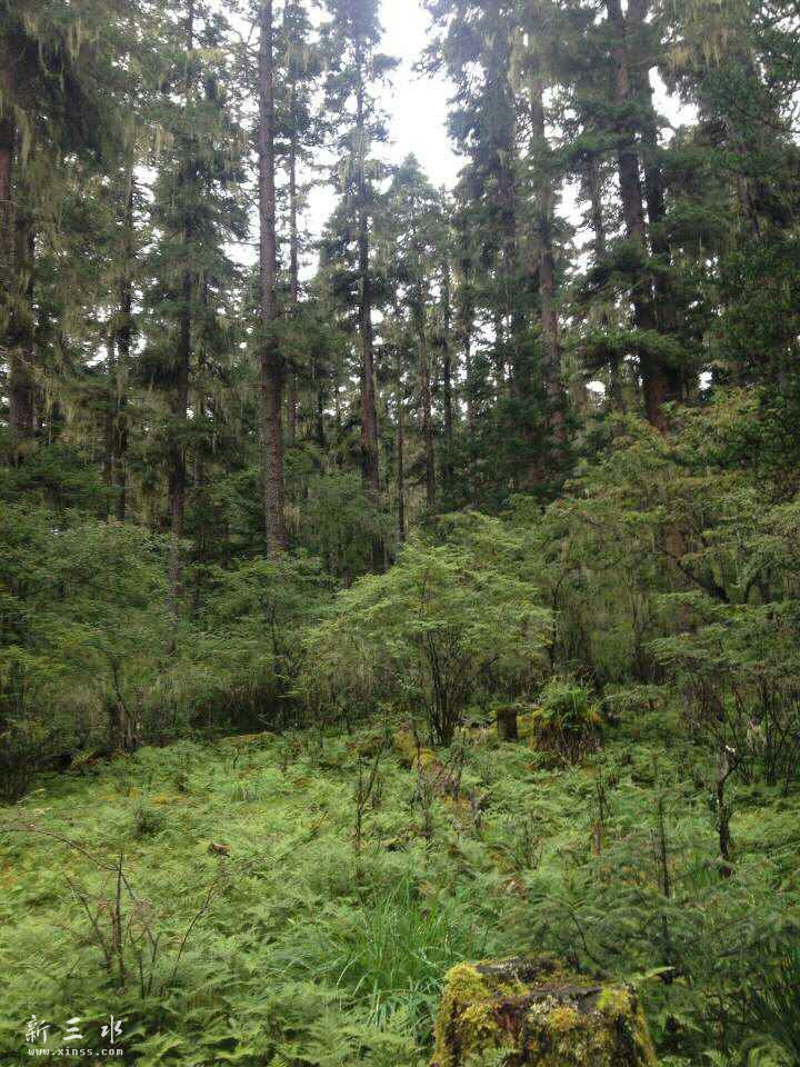 云南香格里拉红山村