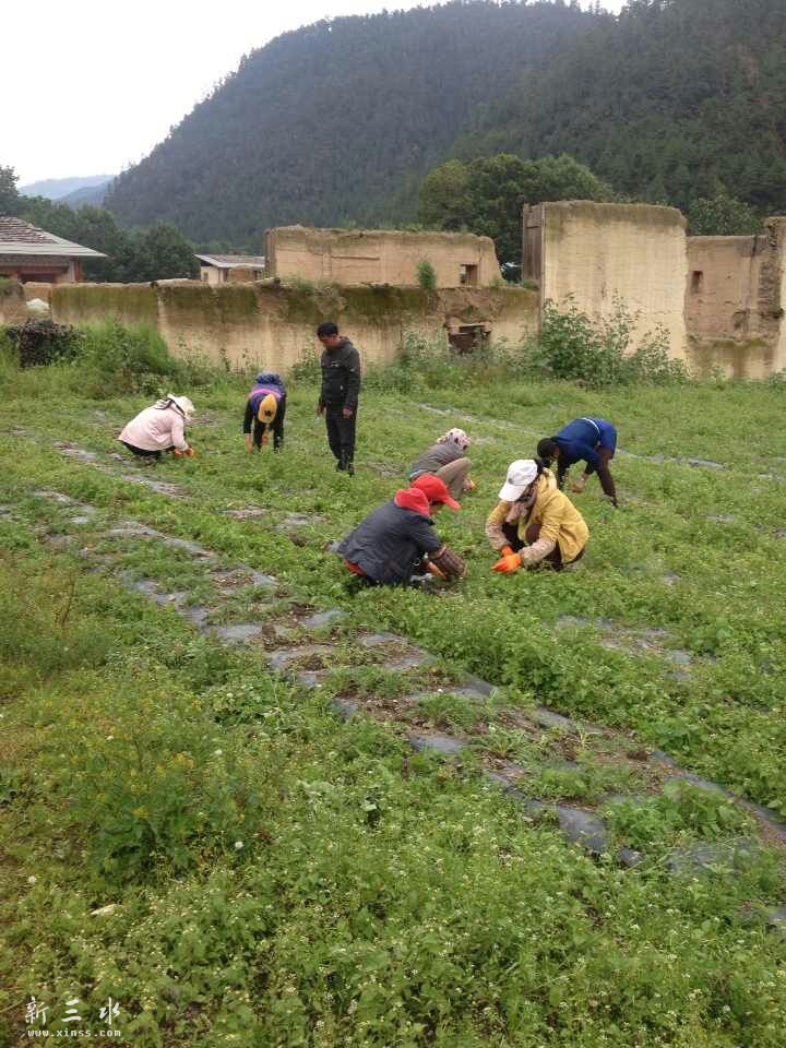 云南香格里拉红山村