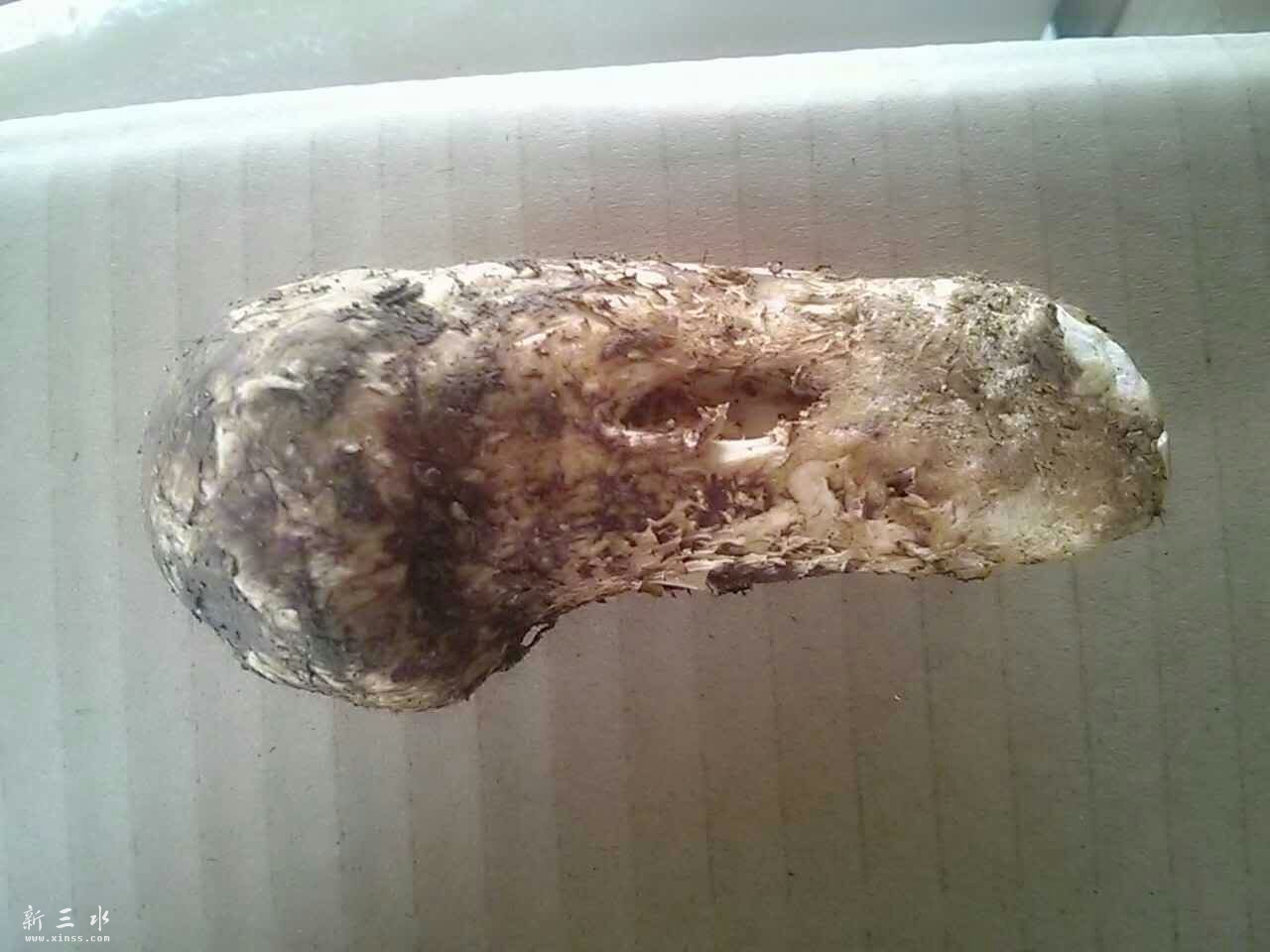 7-9CM
