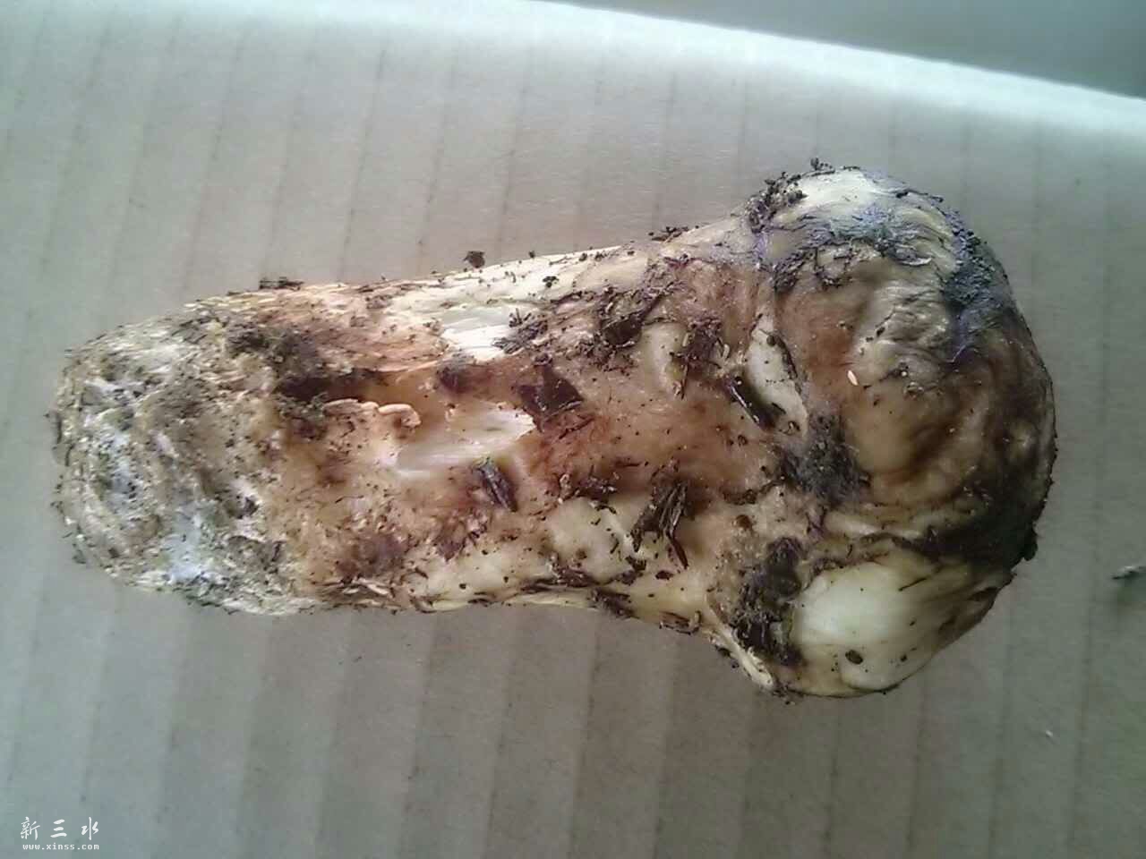 7-9CM