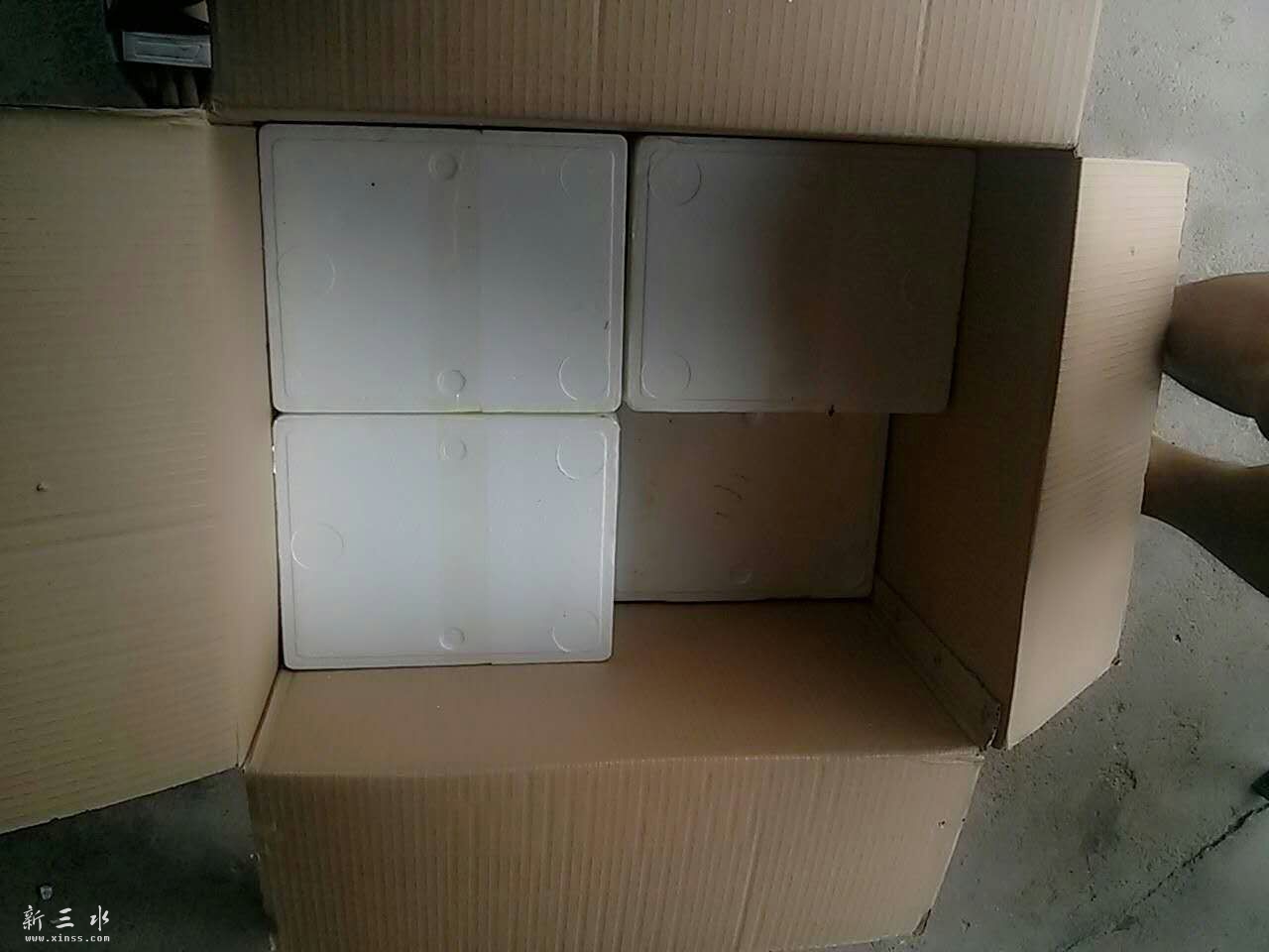 每日新鲜空运到机场