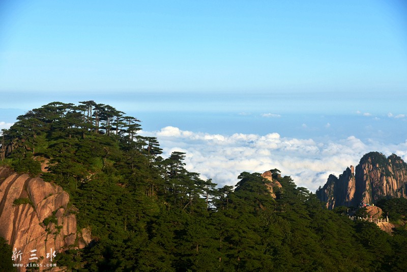 榛勫北涔嬫梾 588_鍓?湰.jpg