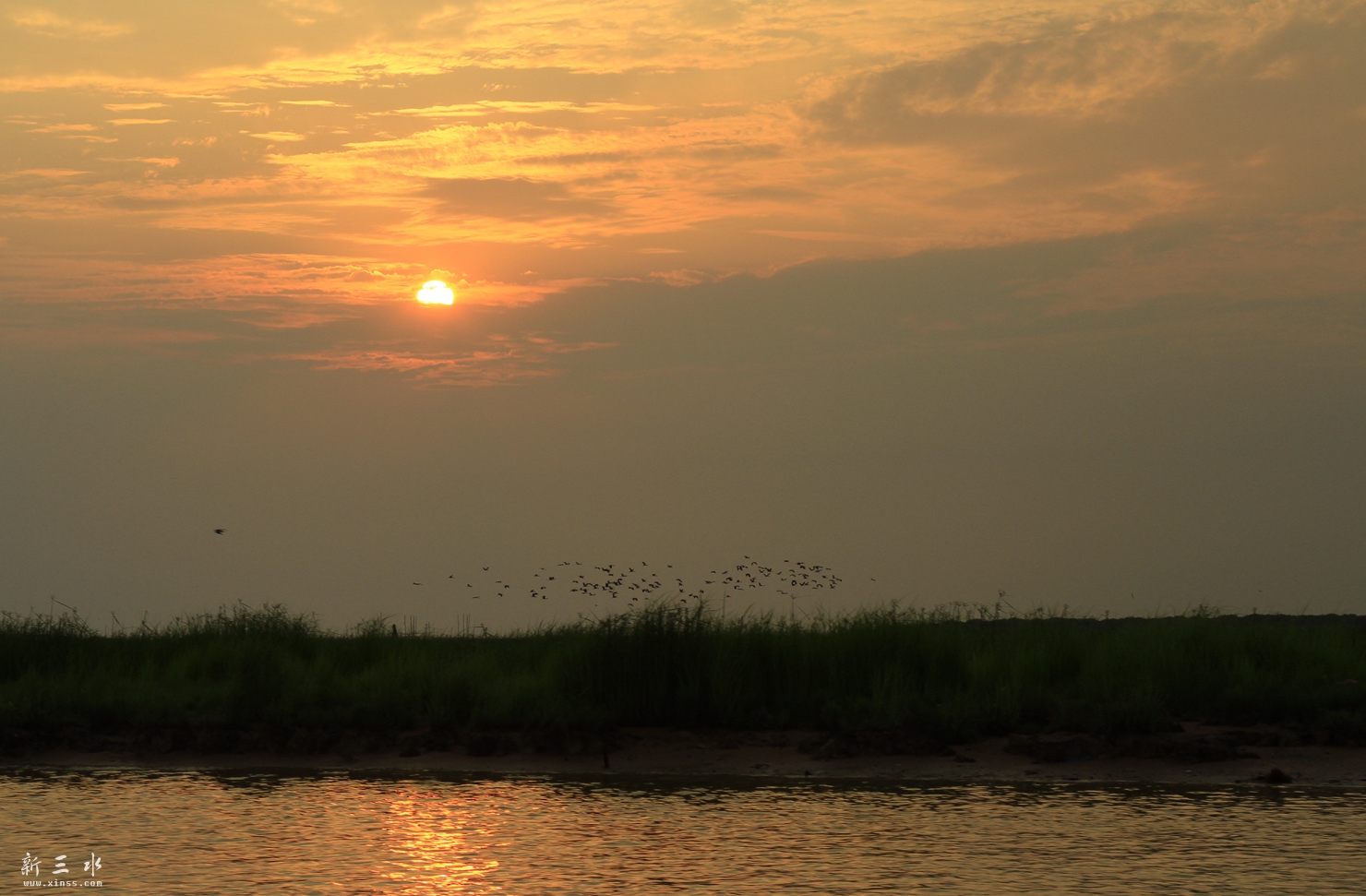 _MG_4316.JPG
