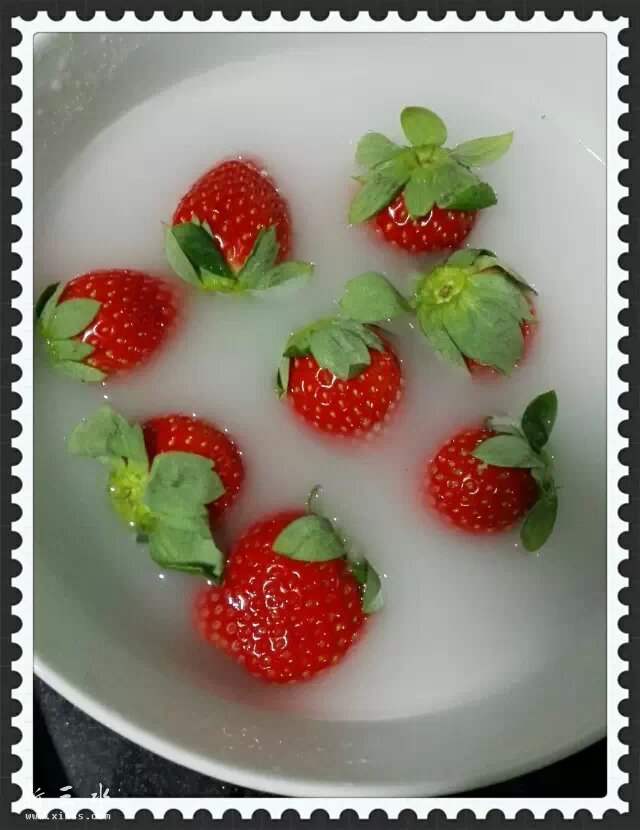 南嘉洲的草莓