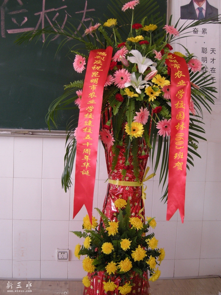 10.120.jpg