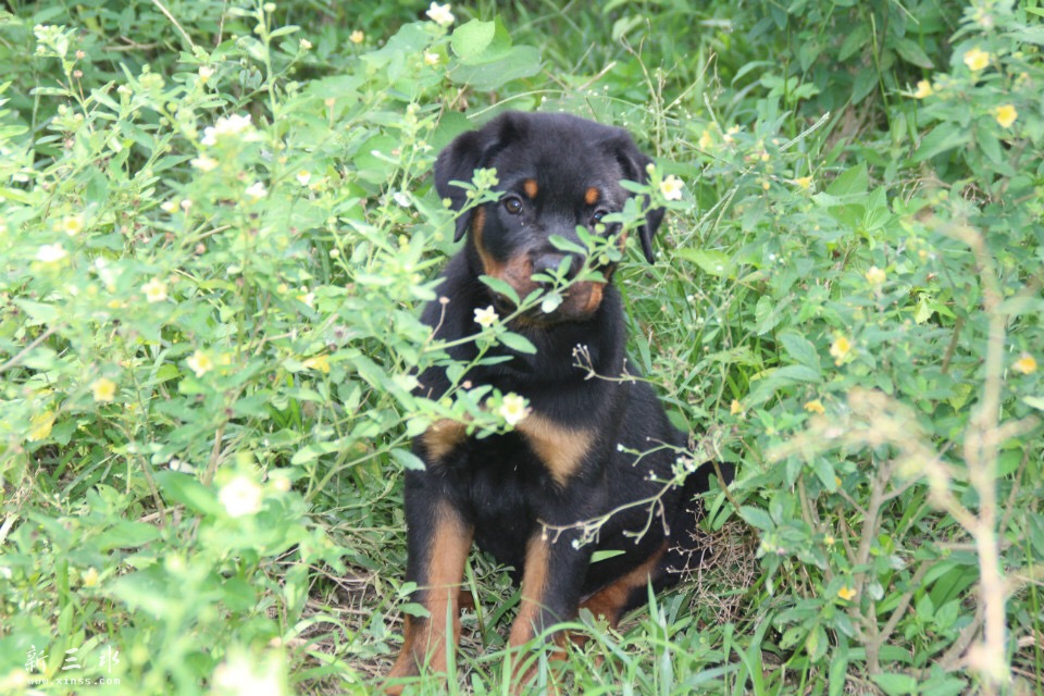 ½ļ (7)IMG_7220.JPG