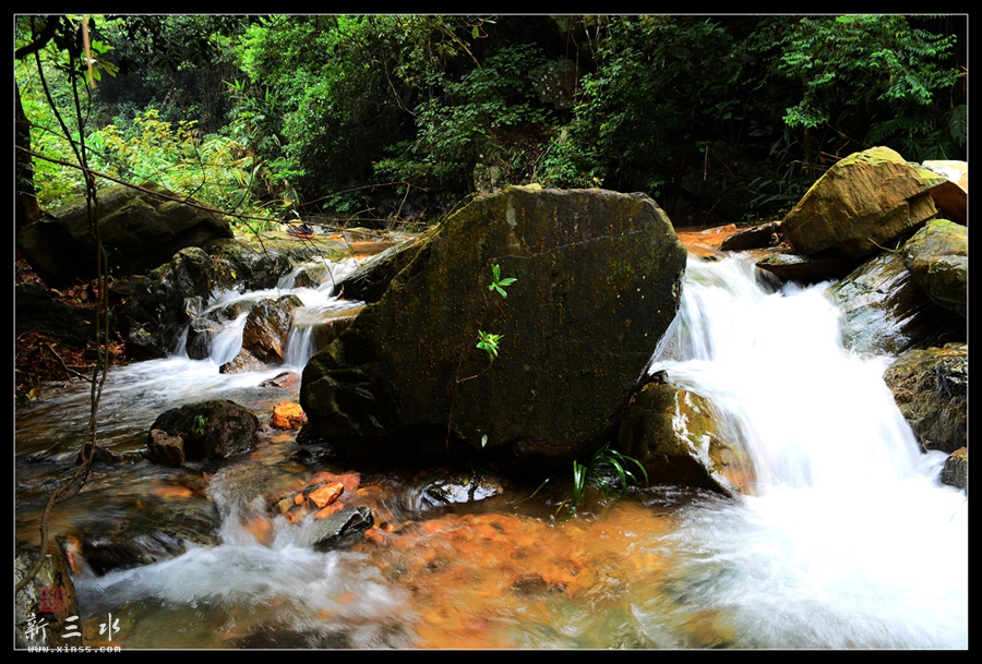 DSC_2204_副本_副本.jpg