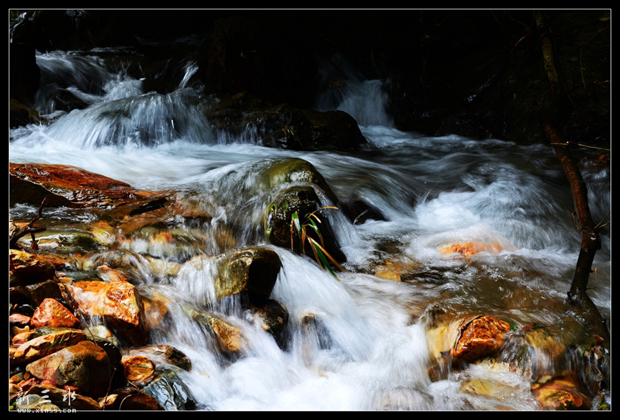 DSC_2209_副本_副本.jpg
