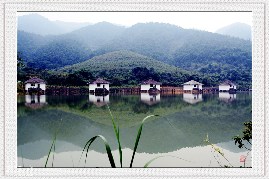 DSC_2222_副本_副本.jpg