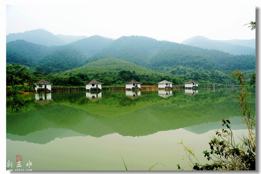 DSC_2224_副本_副本.jpg