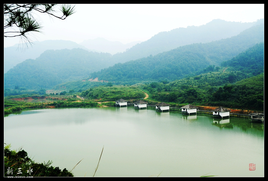 DSC_2247_副本_副本.jpg