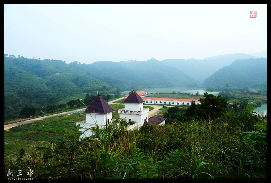 DSC_2255_副本_副本.jpg