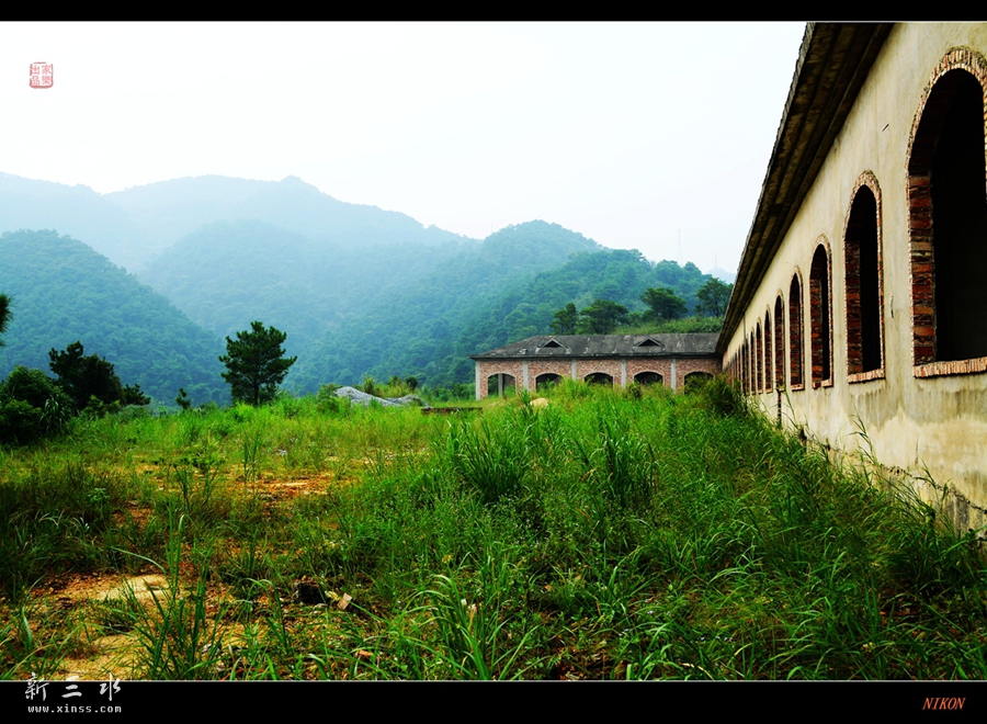 DSC_2256_副本_副本.jpg