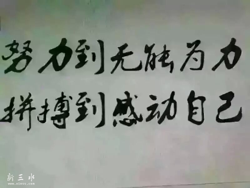 367041492259799174.jpg