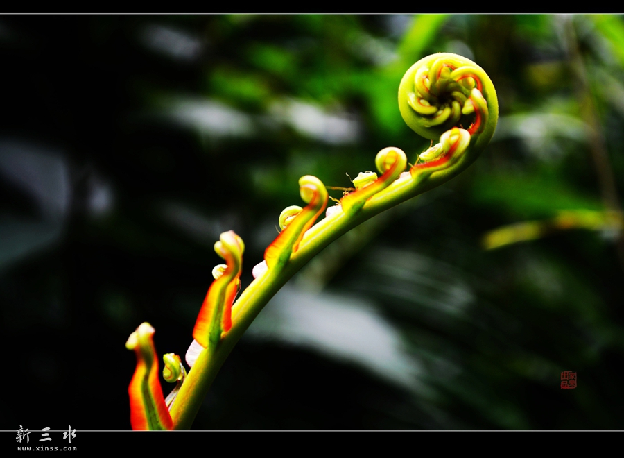 DSC_2346_副本_副本.jpg