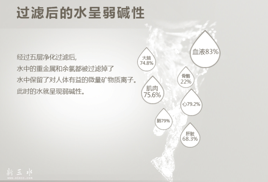 12345 (13).png