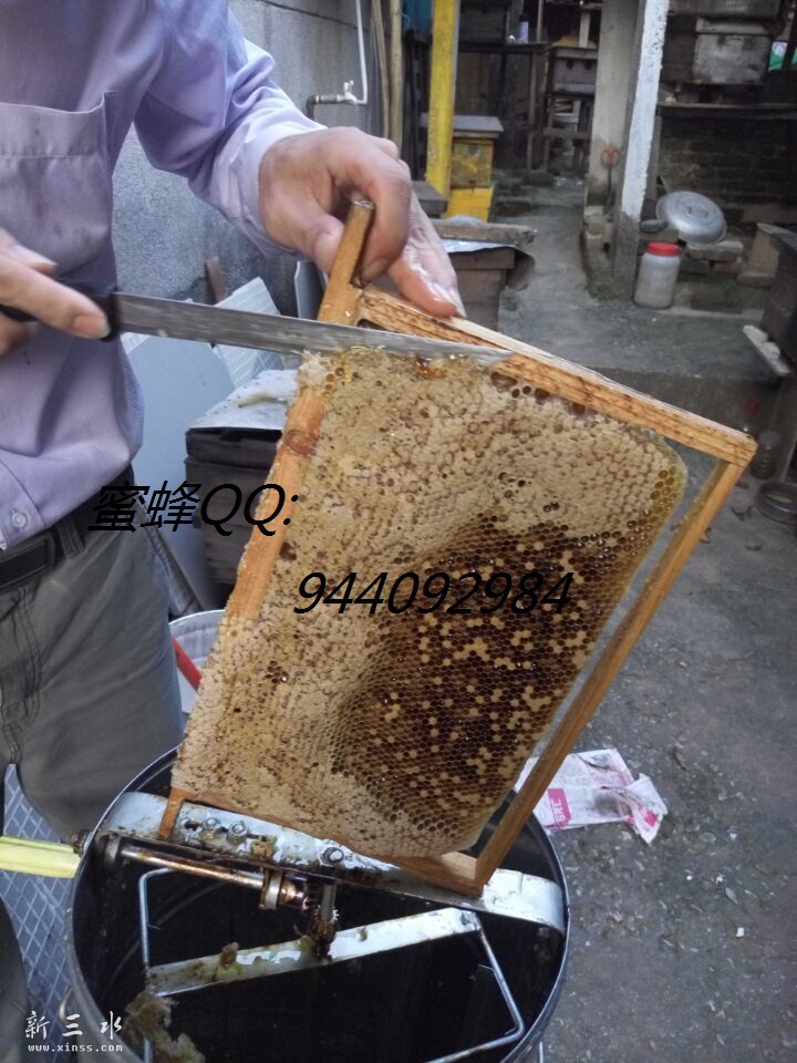 QQ图片20150927171318.jpg